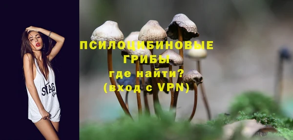 соль ск Абаза