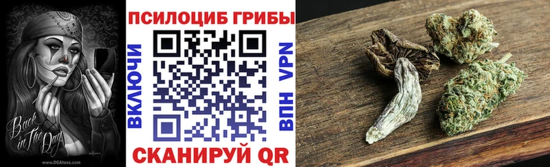 Галлюциногенные грибы прущие грибы где можно купить omg сайт Уфа